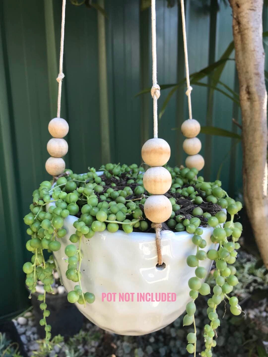 String of Pearls