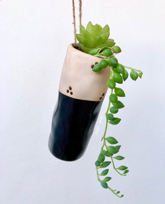 DIY Plant Kit